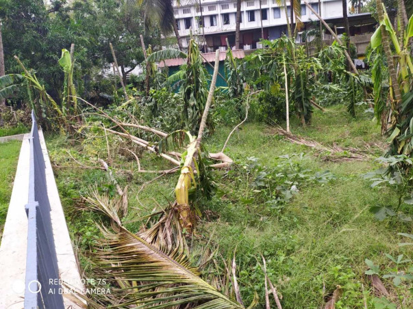 Antara Fundraiser due to Cyclone Amphan and Covid-19