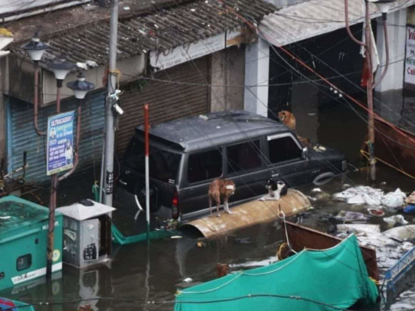 Help us to Relieve Cyclone Victims