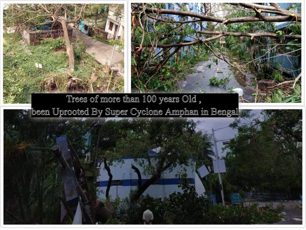 Help us to Relieve Cyclone Victims
