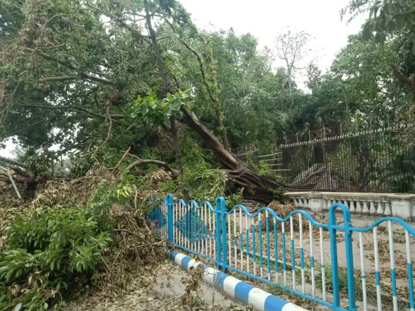 Help Kolkata to Breathe again