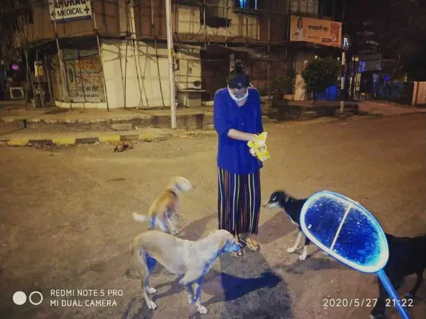 #Tofeedandquenchthethirst
Help Me Raise Funds For Stray Dogs