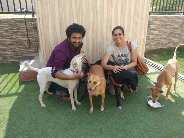 Help us take our indie dogs abroad!