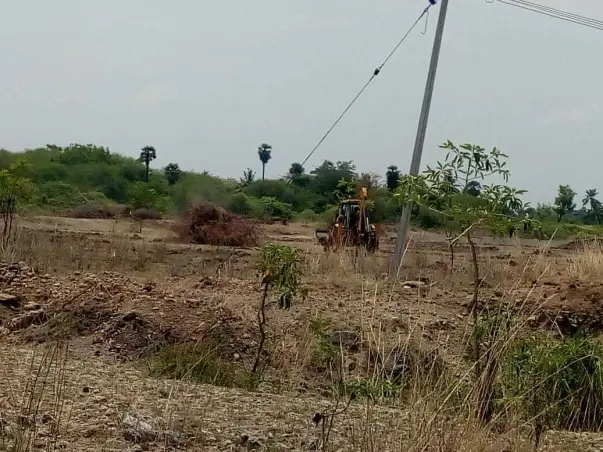 Help initiating the agriculture.