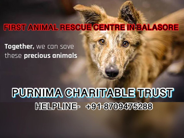 VOICE FOR VOICELESS , TOGETHER WE CAN SAVE THESE PRECIOUS ANIMALS