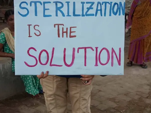 Help Us In Sterilisation Of Street Dog