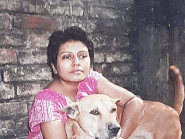 Help Us for Street Dog Sterilisation in Kalyani, Nadia, West Bengal