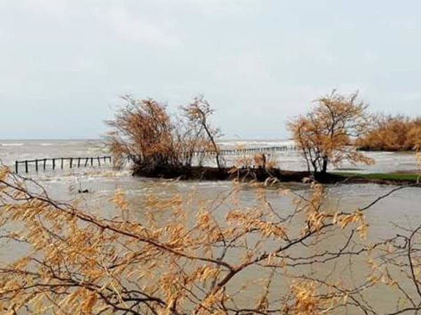 Support us to help the people who lost everything in Amphan Cyclone