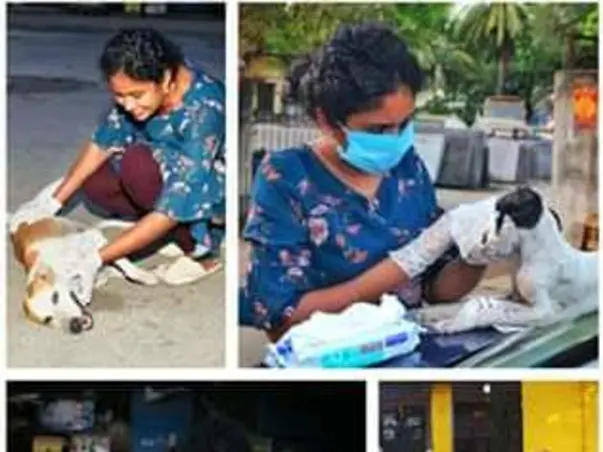 Help Abhinaya save our street dwelling animals