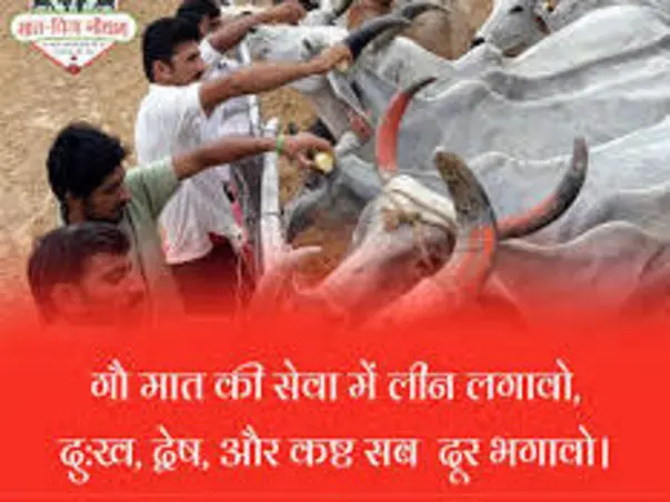 MAAT PITAH GAUDHAM