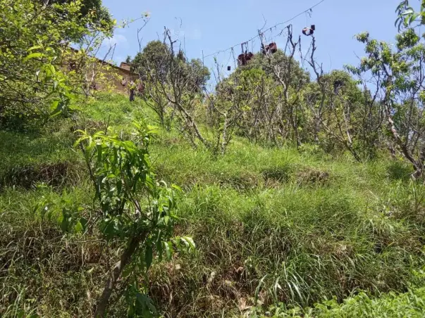 TO PROTECT AREA OF AGRICULTURE LAND AND MAINTAINING THE OLD HOUSE