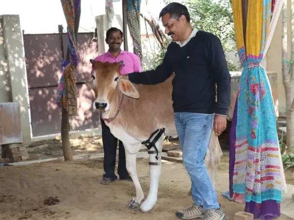 Support Dr. Tapesh to serve disabled animals and make them walk again