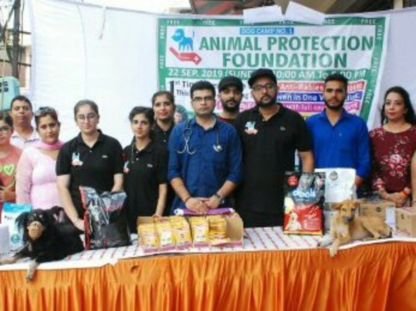 Animal Protection Foundation