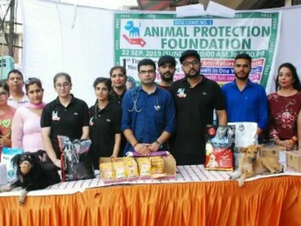 Animal Protection Foundation