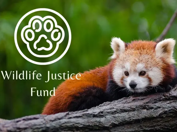 Wildlife Justice Fund