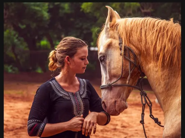 Funding Horse2Human: Help Us Build a Self-Sustainable Future!