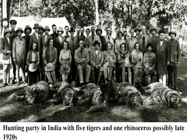 Save Tiger Song