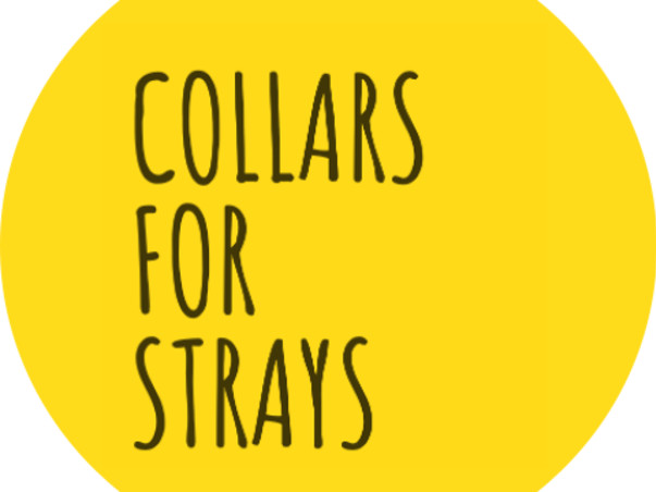 Collars for Strays