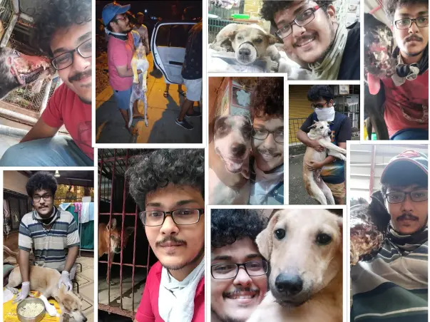 Help FEEDING ANIMALS Build A Shelter For The Injured Strays