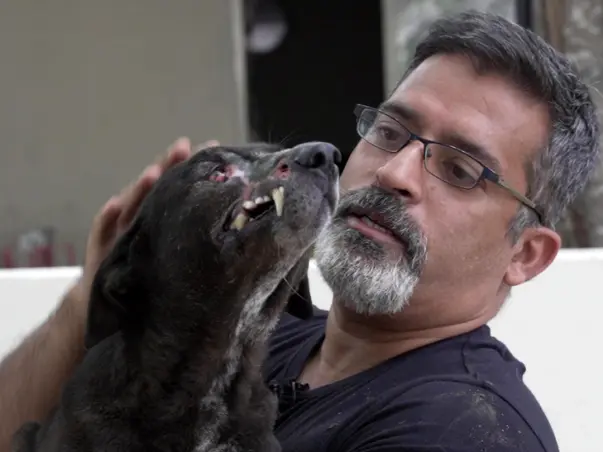 Support Bengaluru Techie’s ‘No-Kill’ Sanctuary- The World’s Largest
