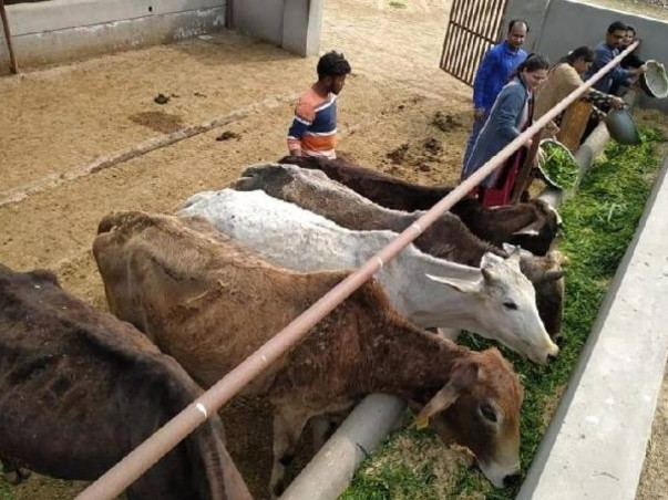 Join Hands With Dev Bhoomi Samiti To Raise Funds For Animal Welfare