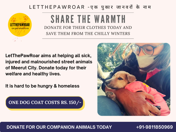HELP STREET ANIMALS FIGHT WINTERS BY DONATING FOR THEIR CLOTHES & FOOD
