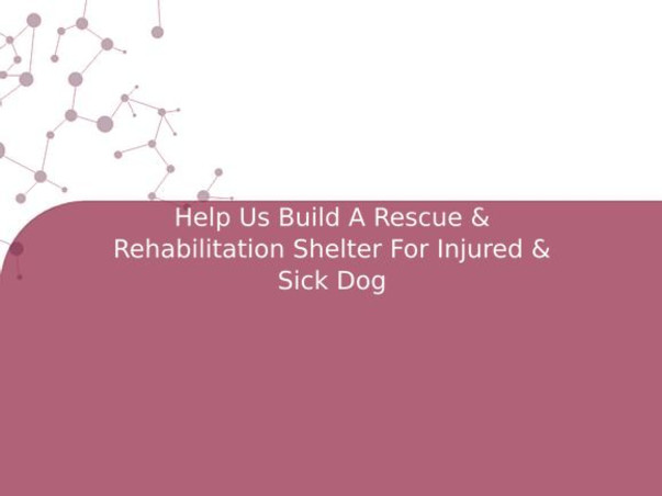 Help Us Build A Rescue & Rehabilitation Shelter For Injured & Sick Dog