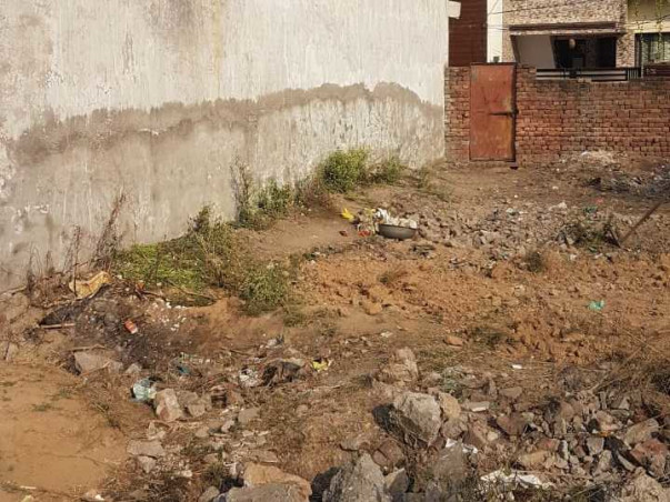 Help Us Build A Rescue & Rehabilitation Shelter For Injured & Sick Dog