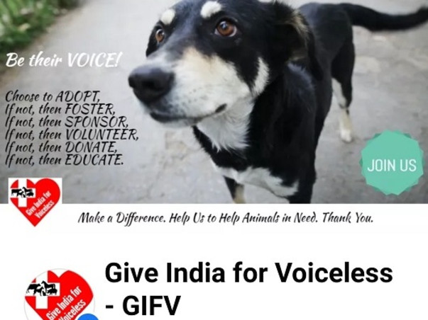 A New Year Resolution to help GIFV - Give India For Voiceless (GIFV)