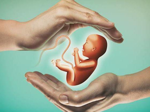 Help Radhika for IVF Expenses & Donate For A New Life