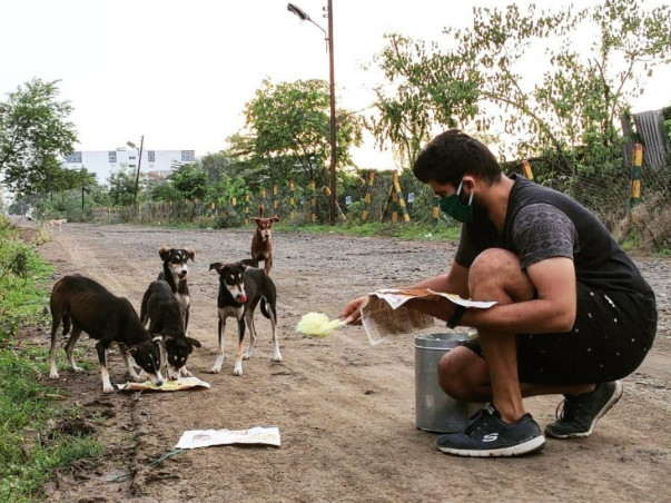 Let's help stray animals survive this harsh spine-chilling winter