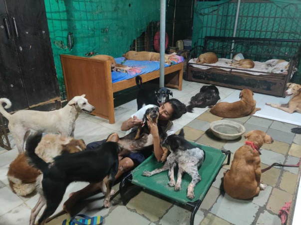 Aman's Animal Rehabilitation Foundation