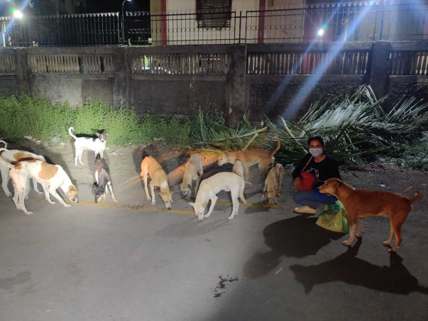 Aman's Animal Rehabilitation Foundation