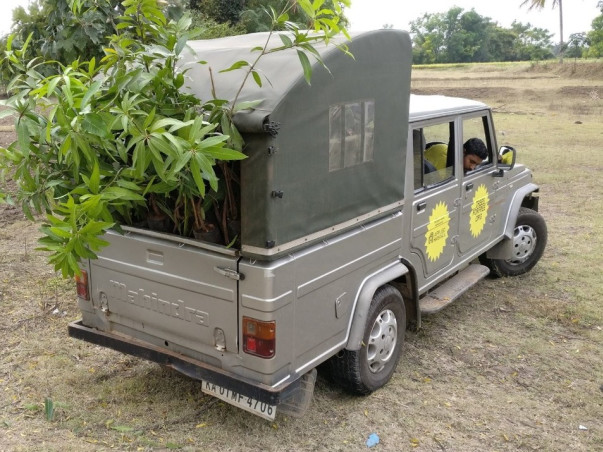 Help Reforest India Plant Trees Again