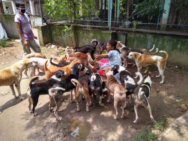 Fundraiser for Rescue Animals (Ashari, PFA Kolkata)