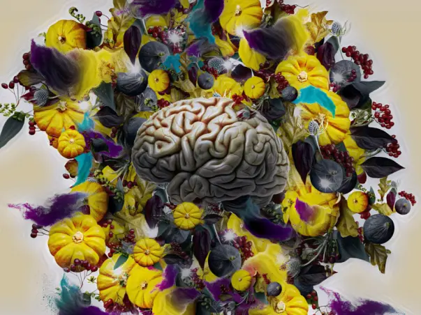 Help Raise Money For Artist With Schizophrenia And Brain Tumor