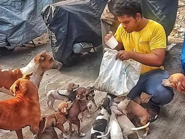 Ambulance For Rescue Of Stray Dogs In Mumbai