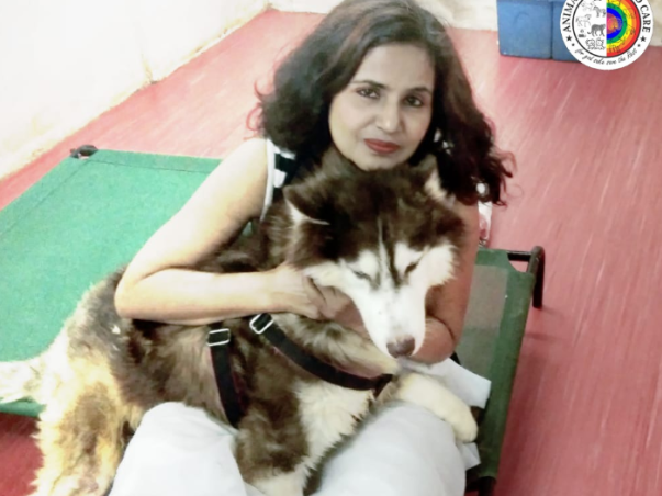 Help Savita Mahajan to open a small shelter for sick & paralysed dogs