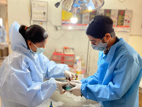 Fundraising Campaign For Karuna Pakshi Tirth (Birds Charity Hospital)