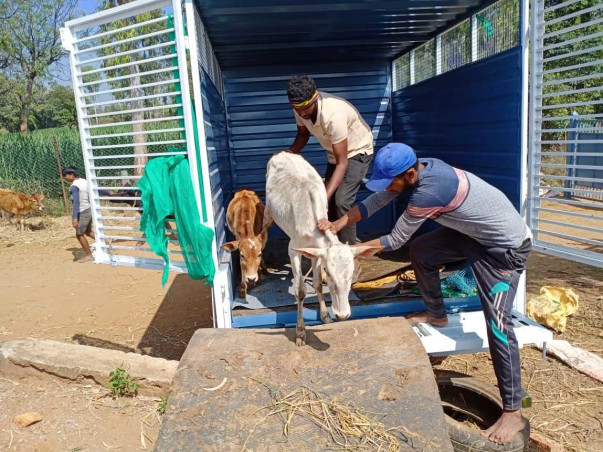 Support People For Animal Organization