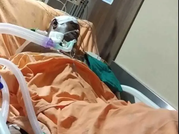 Support Rangaraju Recover from Neurosurgery
