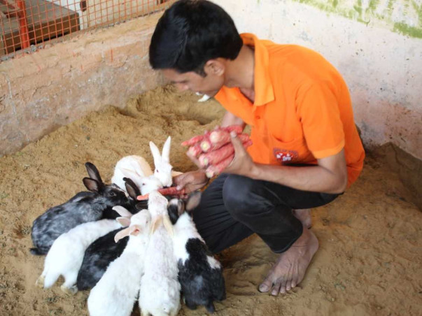 Help Guardian Of Angels To Save Sick, Injured & Disabled Stray Animals