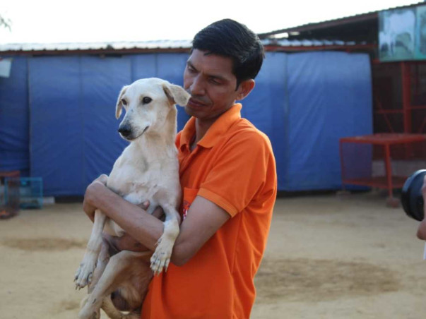 Help Guardian Of Angels To Save Sick, Injured & Disabled Stray Animals
