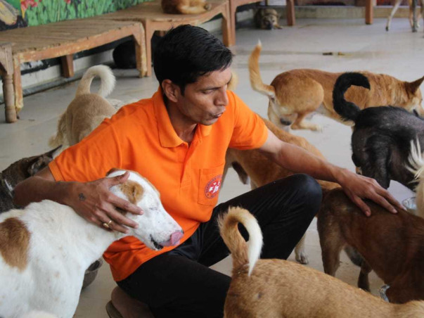 Help Guardian Of Angels To Save Sick, Injured & Disabled Stray Animals
