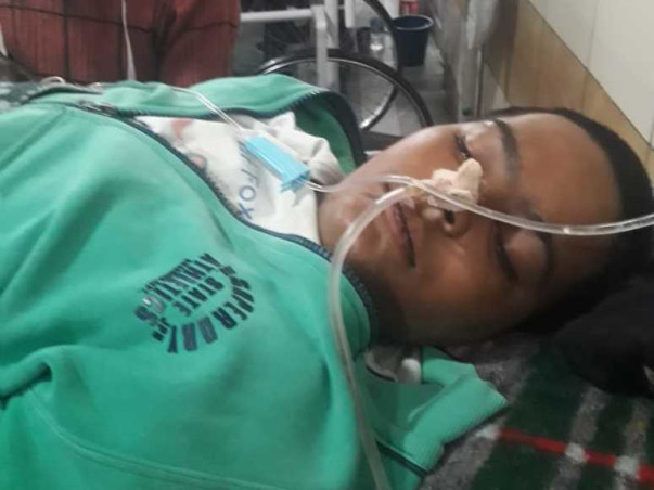 Help Goldy to fight with brain cancer