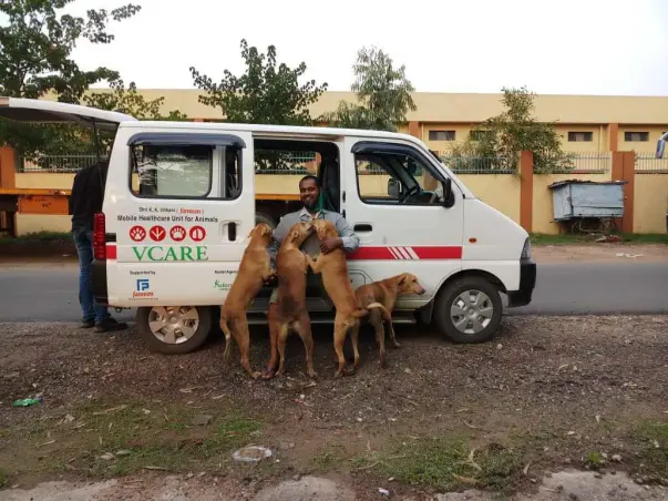 Help Us To Rescue Street Animals