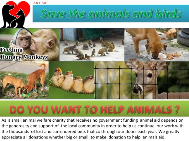 Help For Feeding Animals