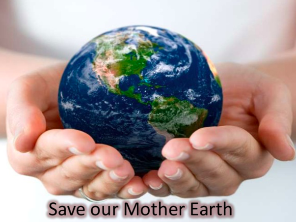 Waste to Energy Project - Support