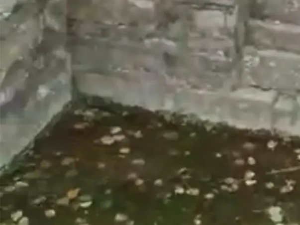 Save our heritage and an ancient pond from drying