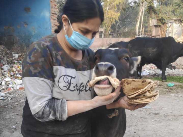 Give Hope, Help And Happiness To The Care Of Animals