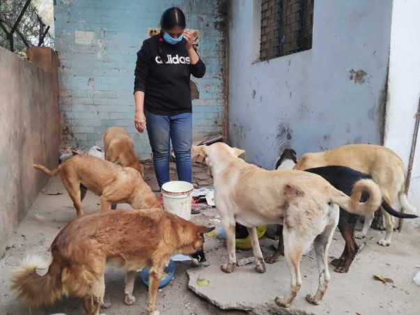 Give Hope, Help And Happiness To The Care Of Animals
